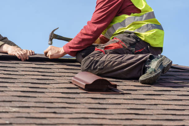 Best Roof Gutter Cleaning  in Combe, LA